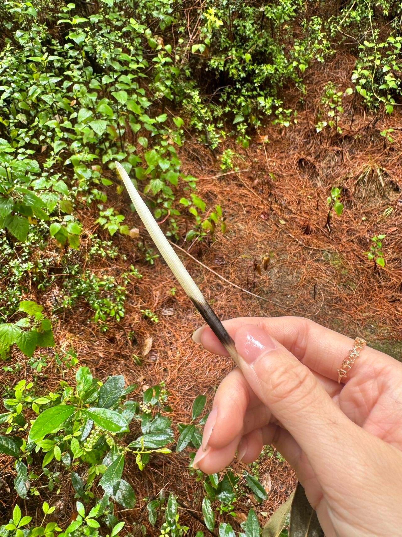旅行者上传的活动照片
