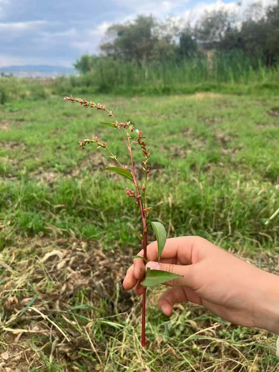 旅行者上传的活动照片