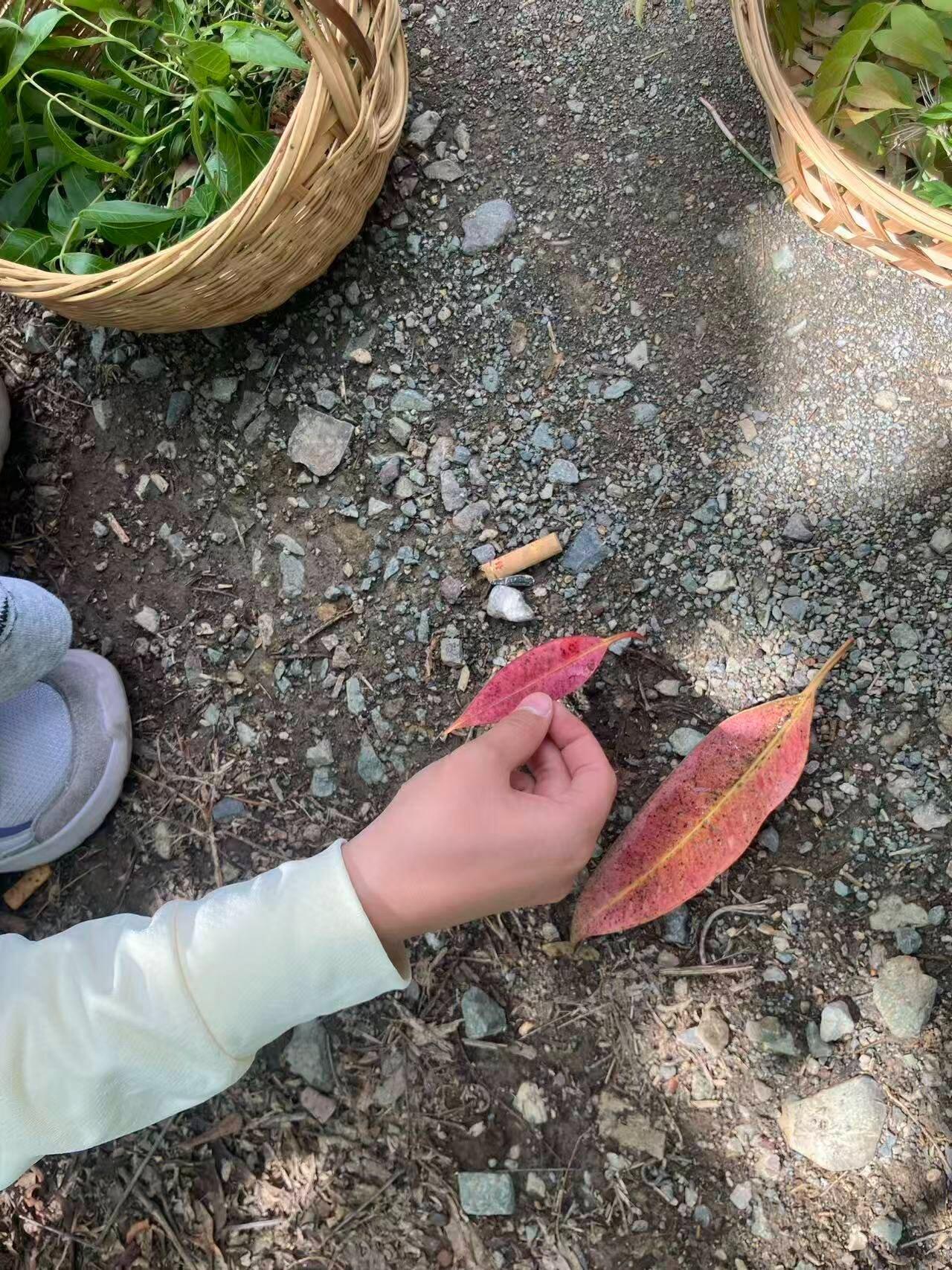 旅行者上传的活动照片