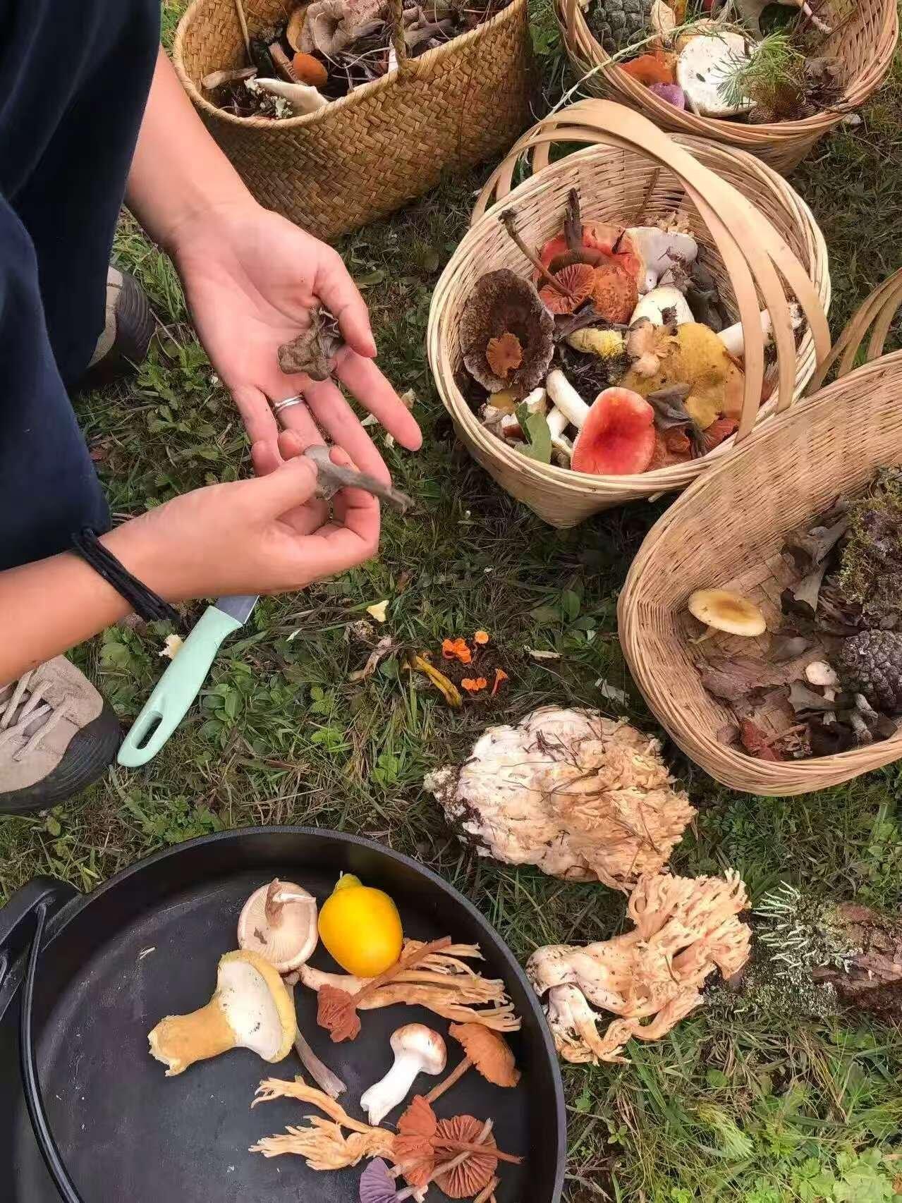 旅行者上传的活动照片