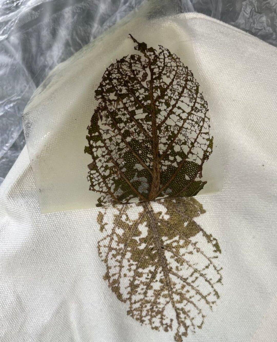 旅行者上传的活动照片