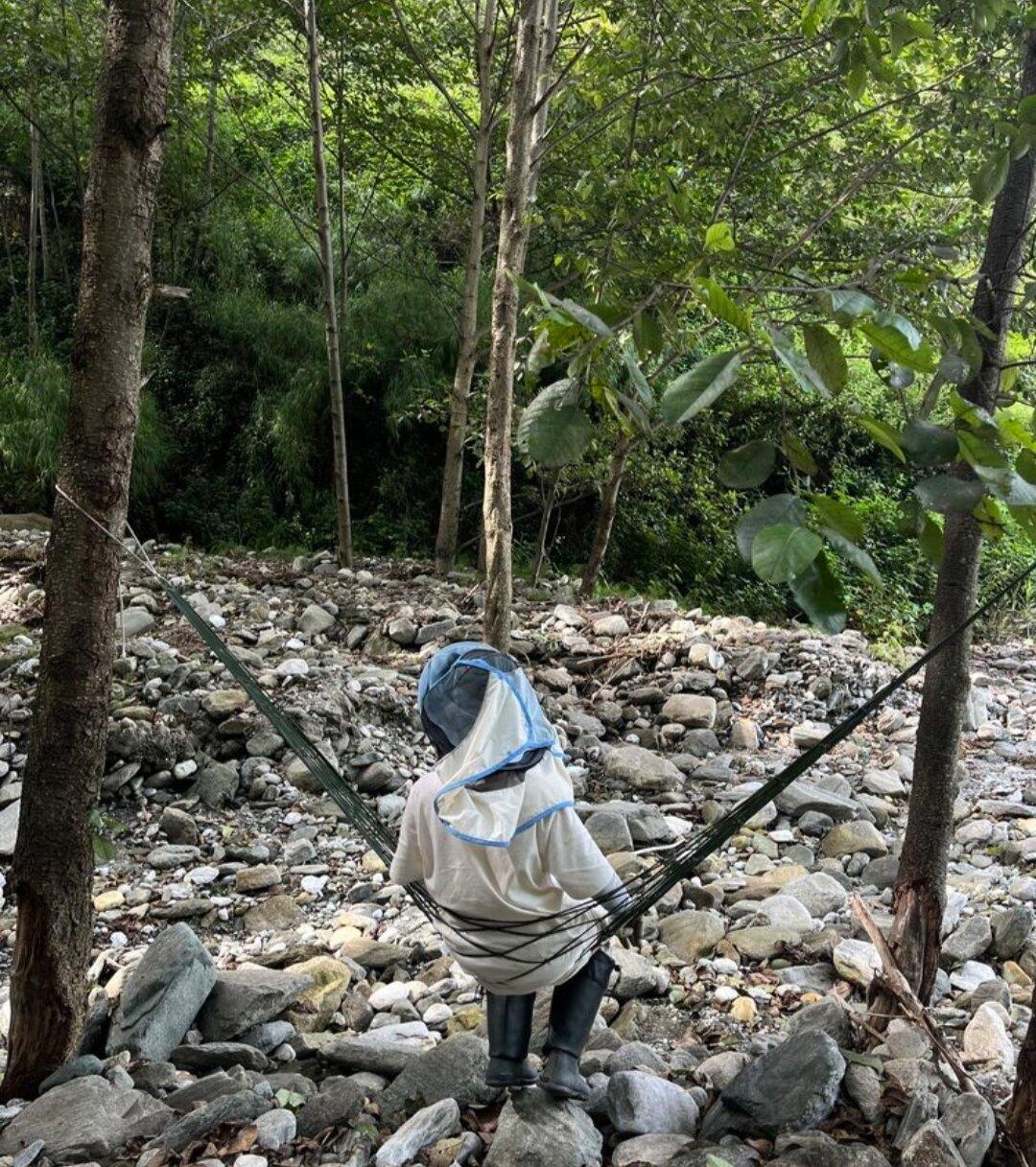 旅行者上传的活动照片
