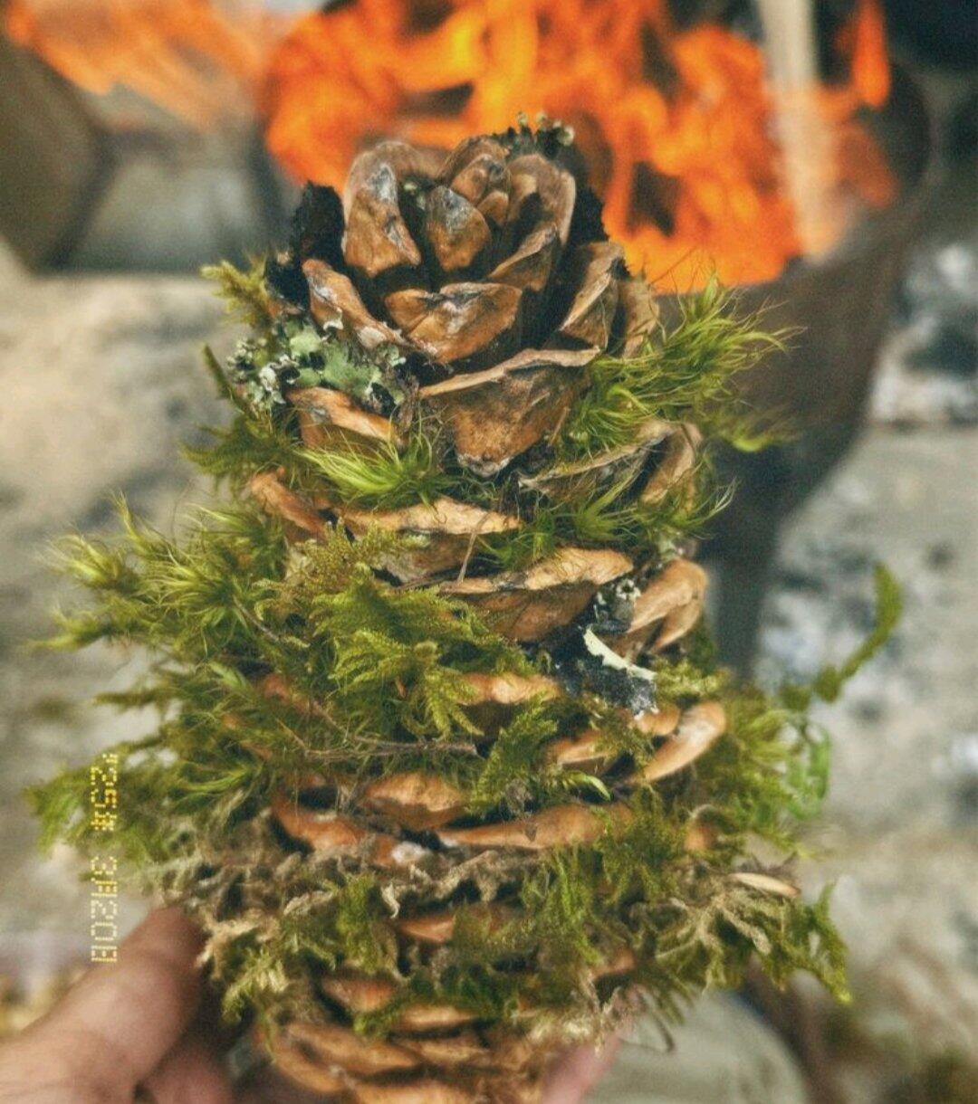 Von Reisenden hochgeladenes Aktivitätsfoto