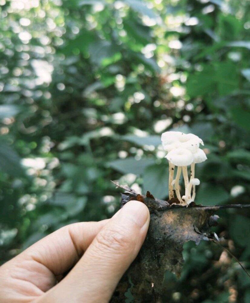 旅行者上传的活动照片