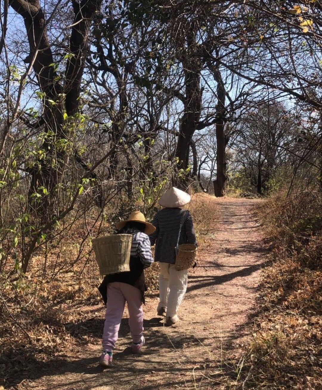 旅行者上传的活动照片