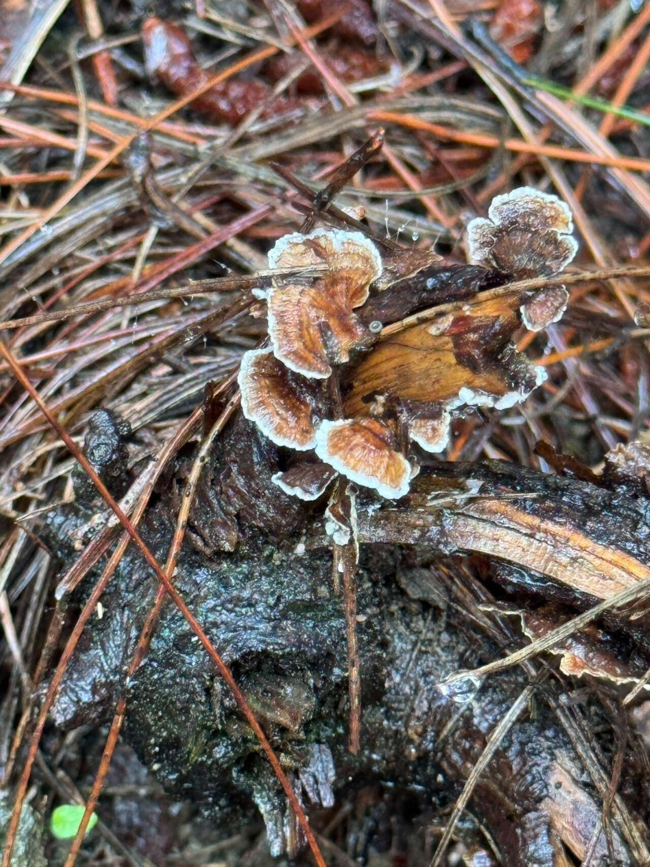 旅行者上传的活动照片