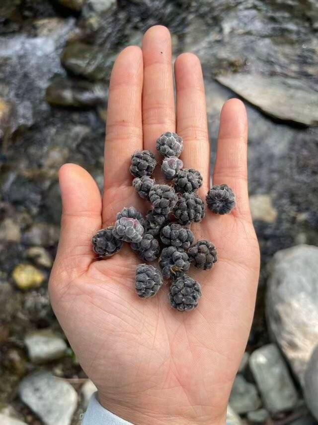 旅行者上传的活动照片