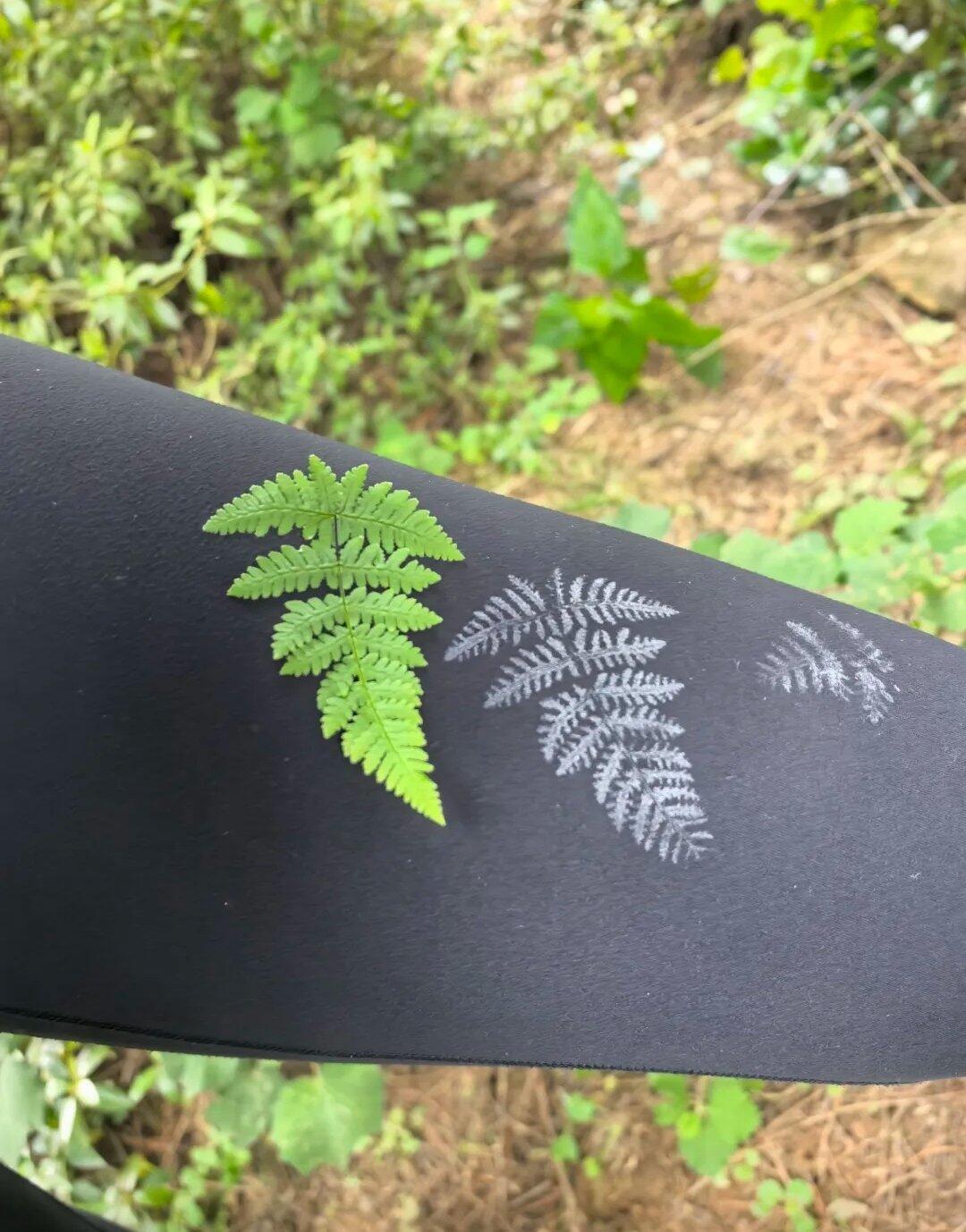 Von Reisenden hochgeladenes Aktivitätsfoto