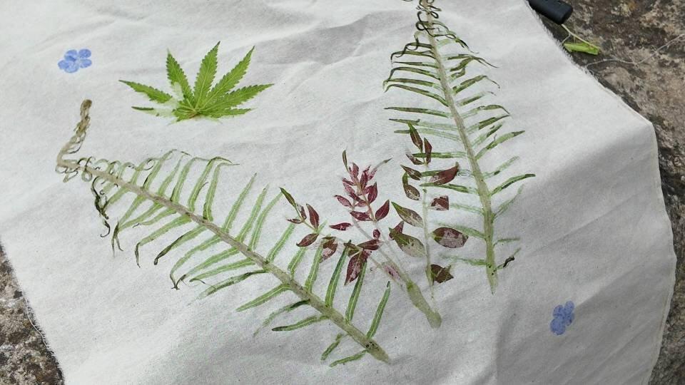 旅行者上传的活动照片