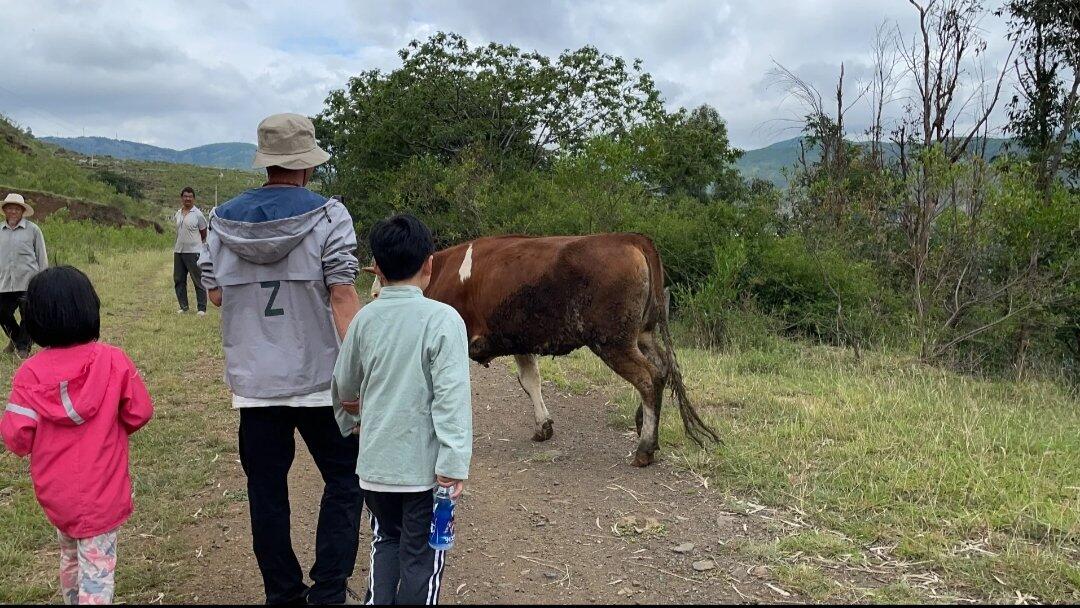 旅行者上传的活动照片