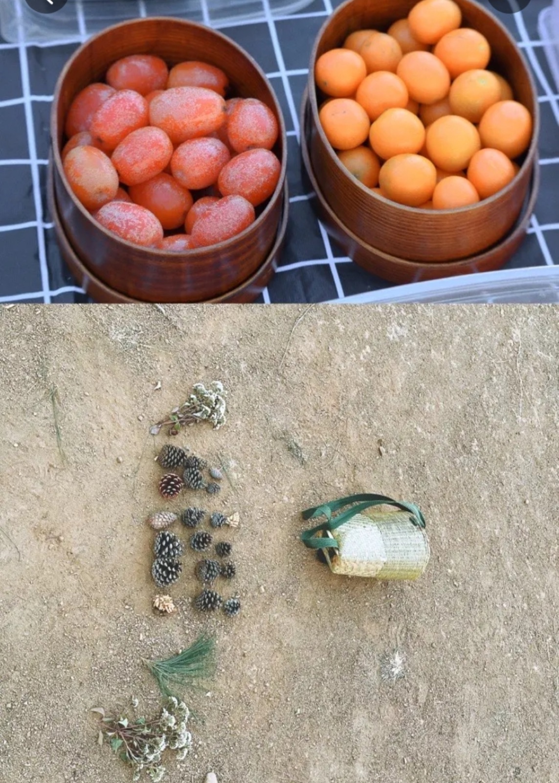 旅行者上传的活动照片