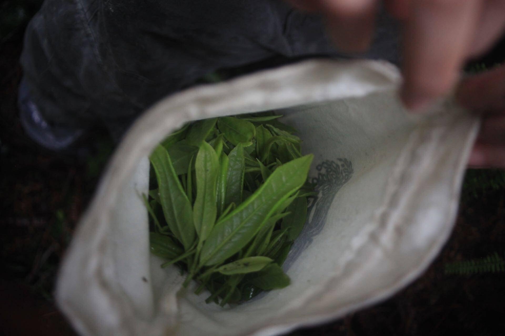 旅行者上传的活动照片
