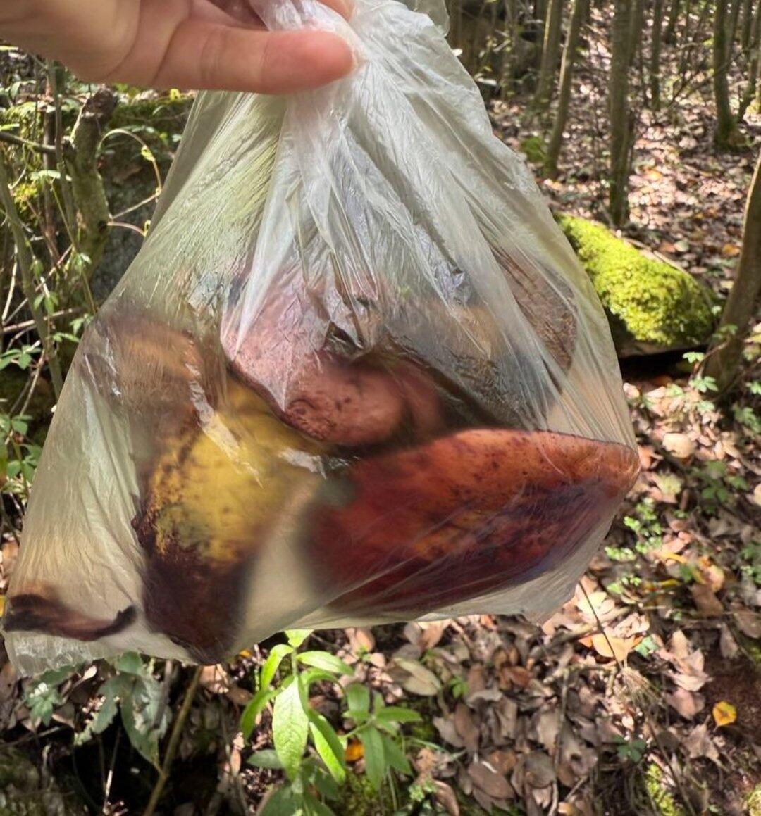 旅行者上传的活动照片