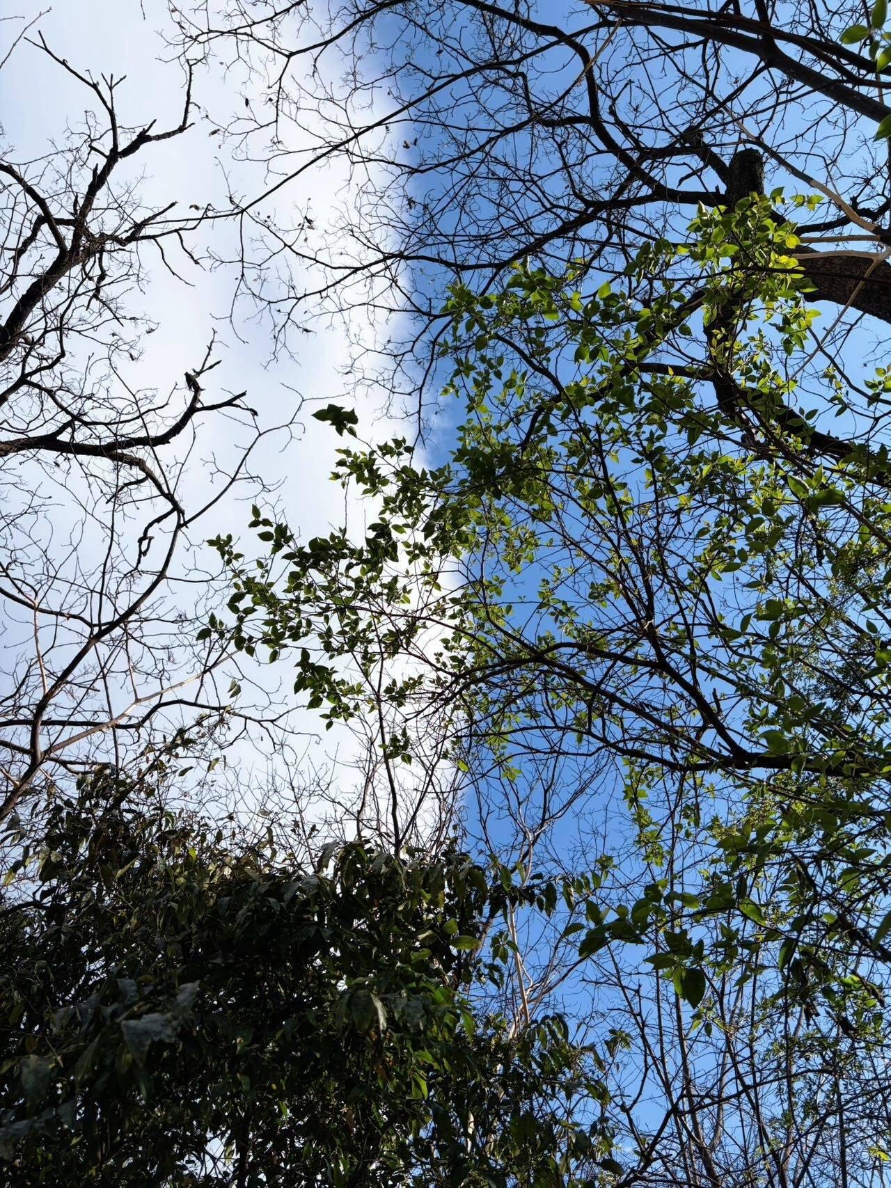 旅行者上传的活动照片