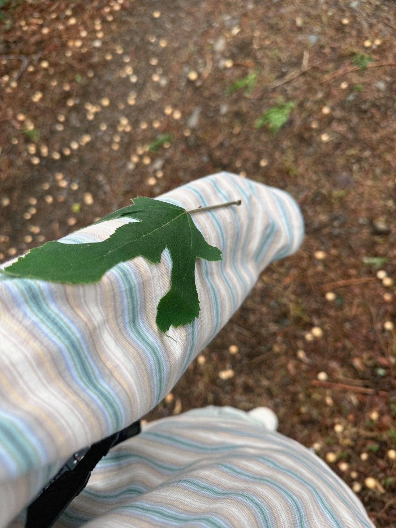 旅行者上傳的活動照片