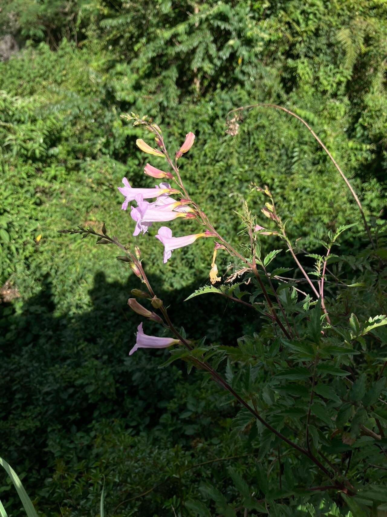 旅行者上传的活动照片