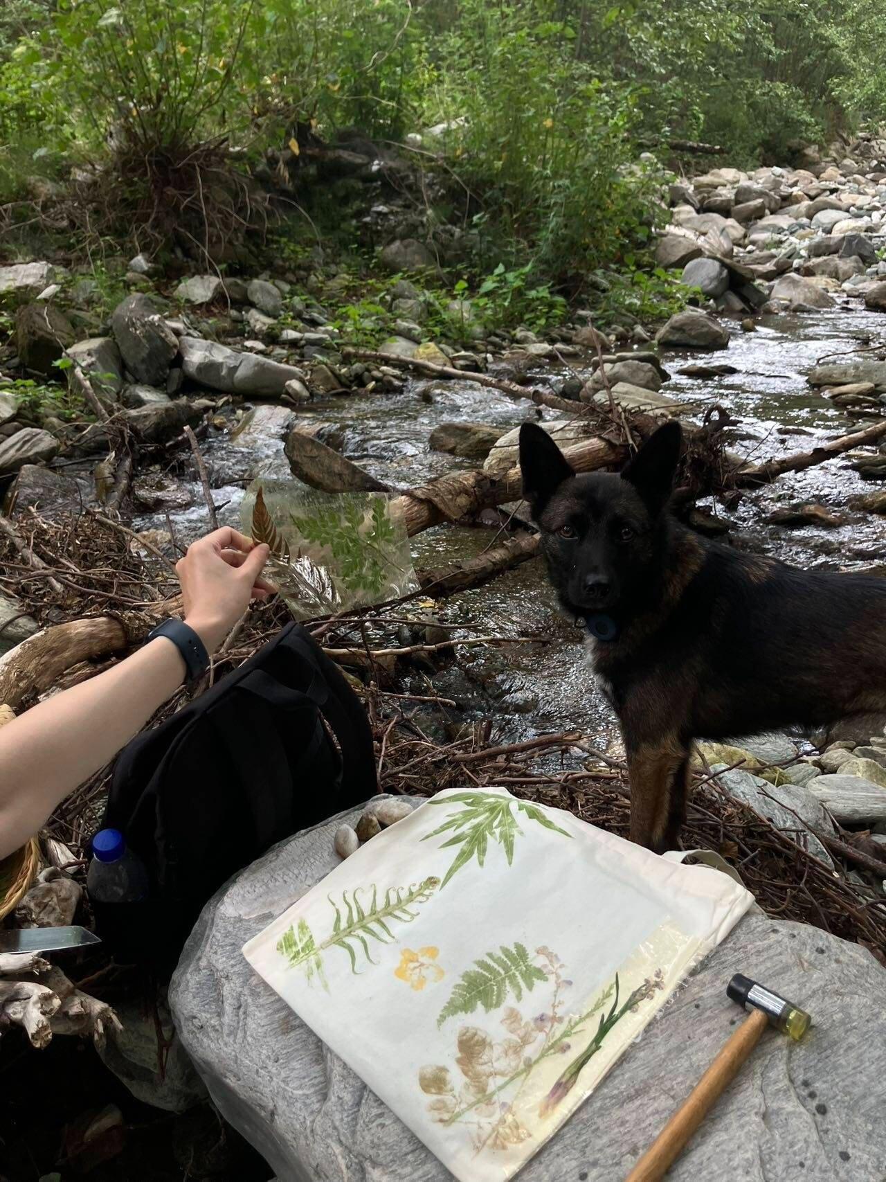 旅行者上传的活动照片