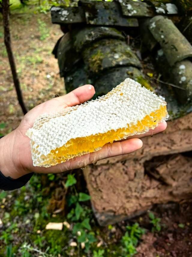 旅行者上传的活动照片