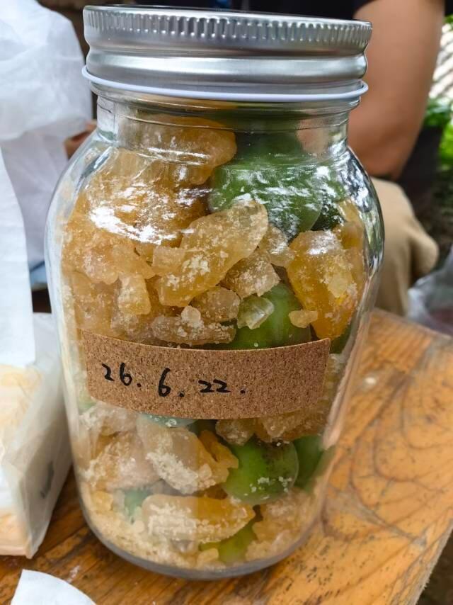 旅行者上传的活动照片