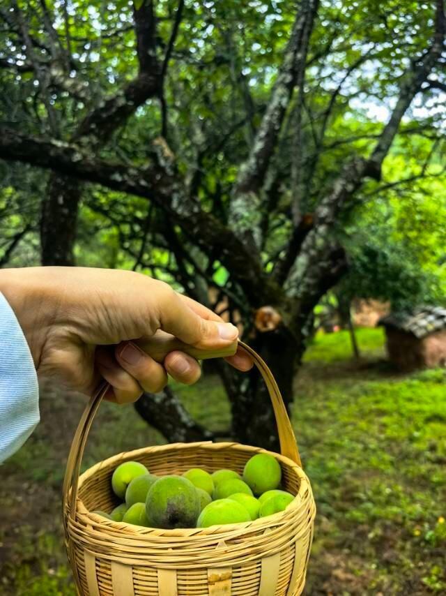 旅行者上传的活动照片