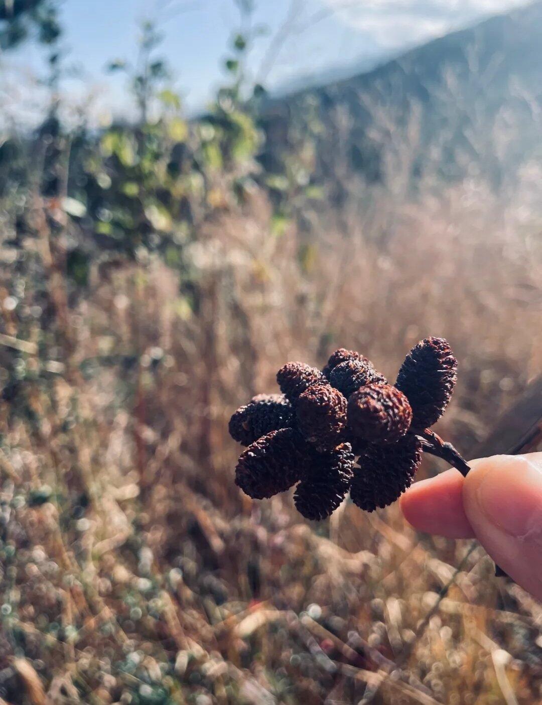 旅行者上传的活动照片