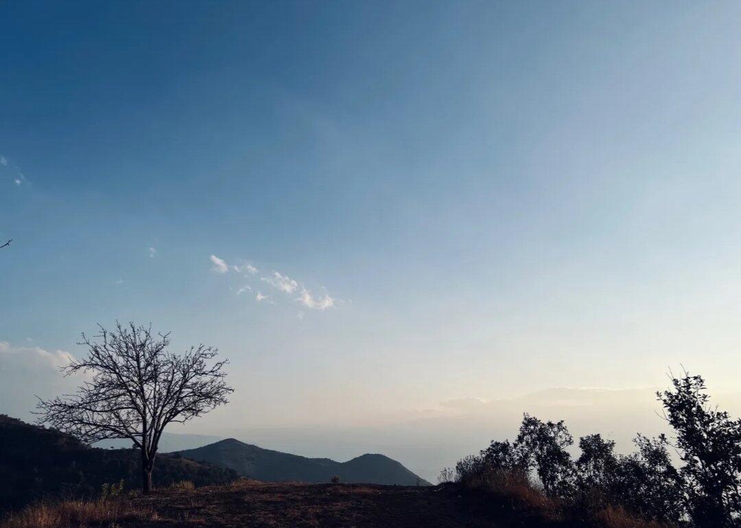 旅行者上传的活动照片