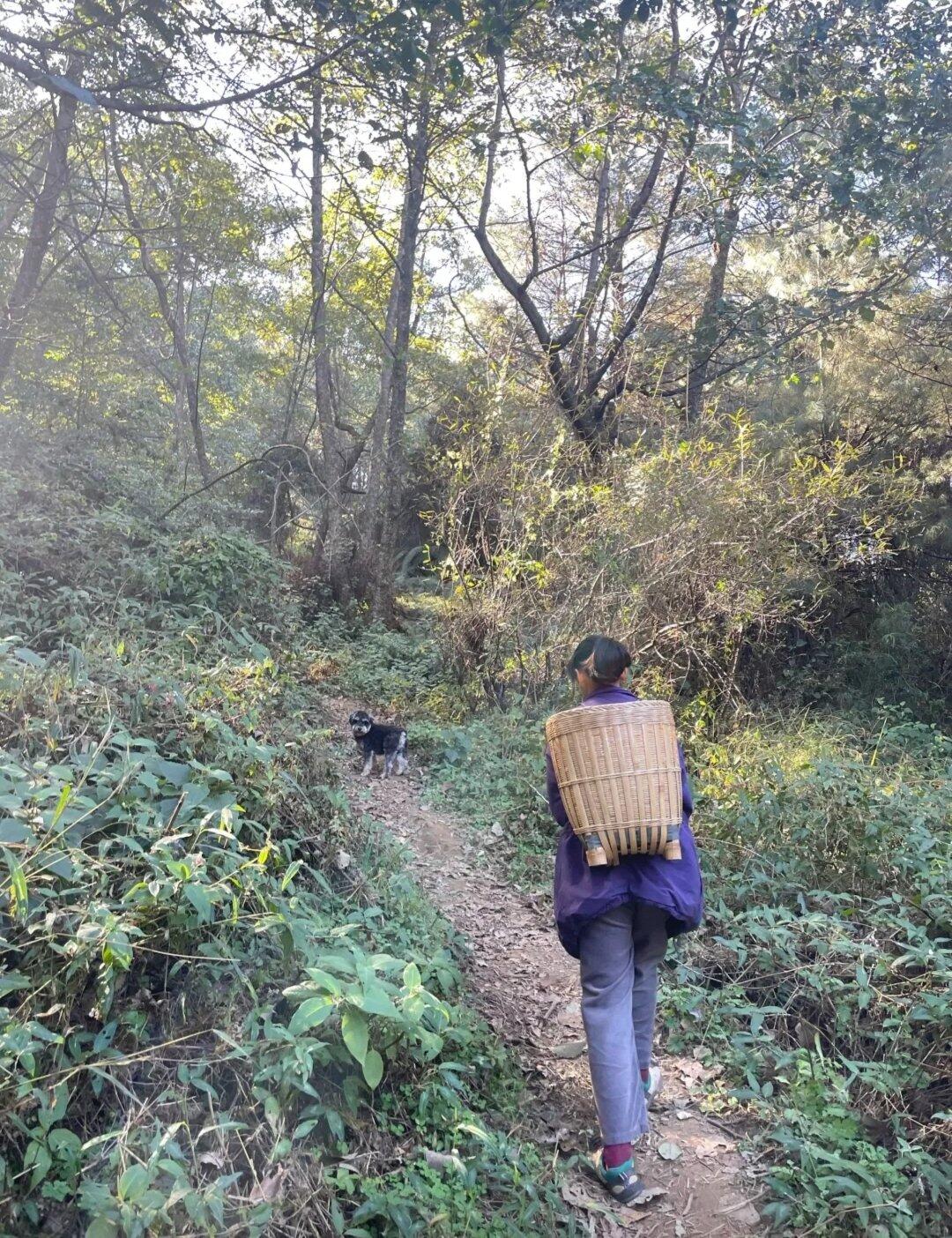 旅行者上传的活动照片