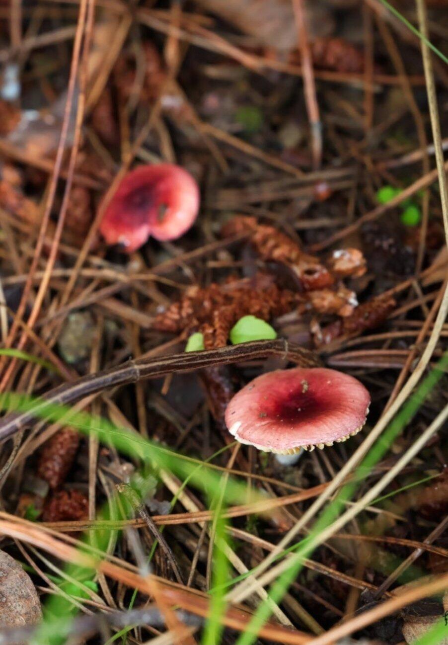 旅行者上传的活动照片