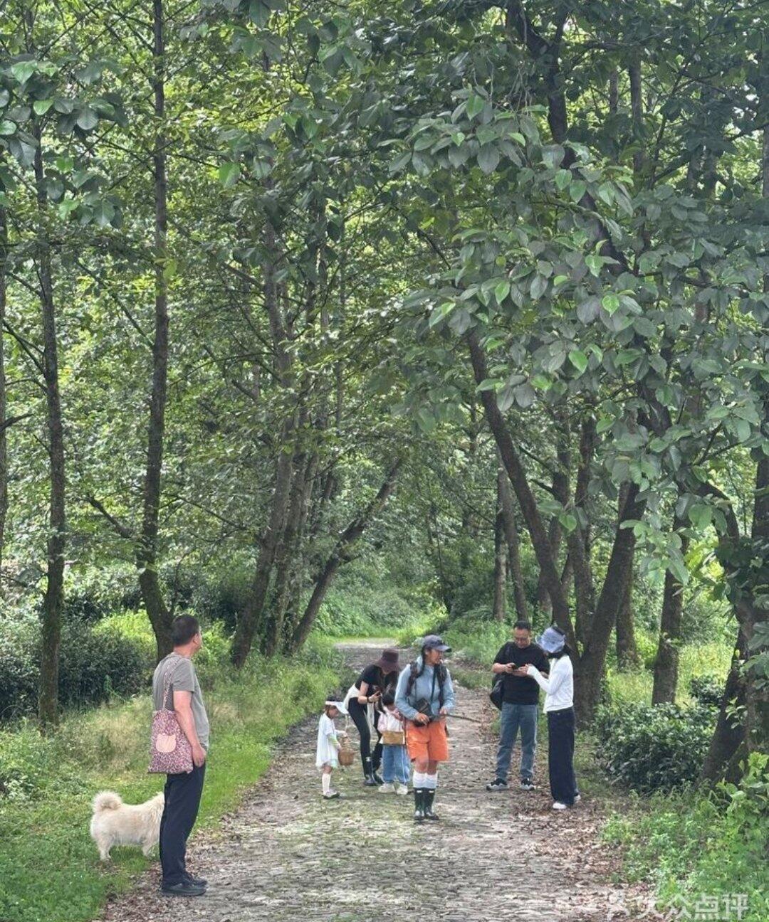 旅行者上传的活动照片