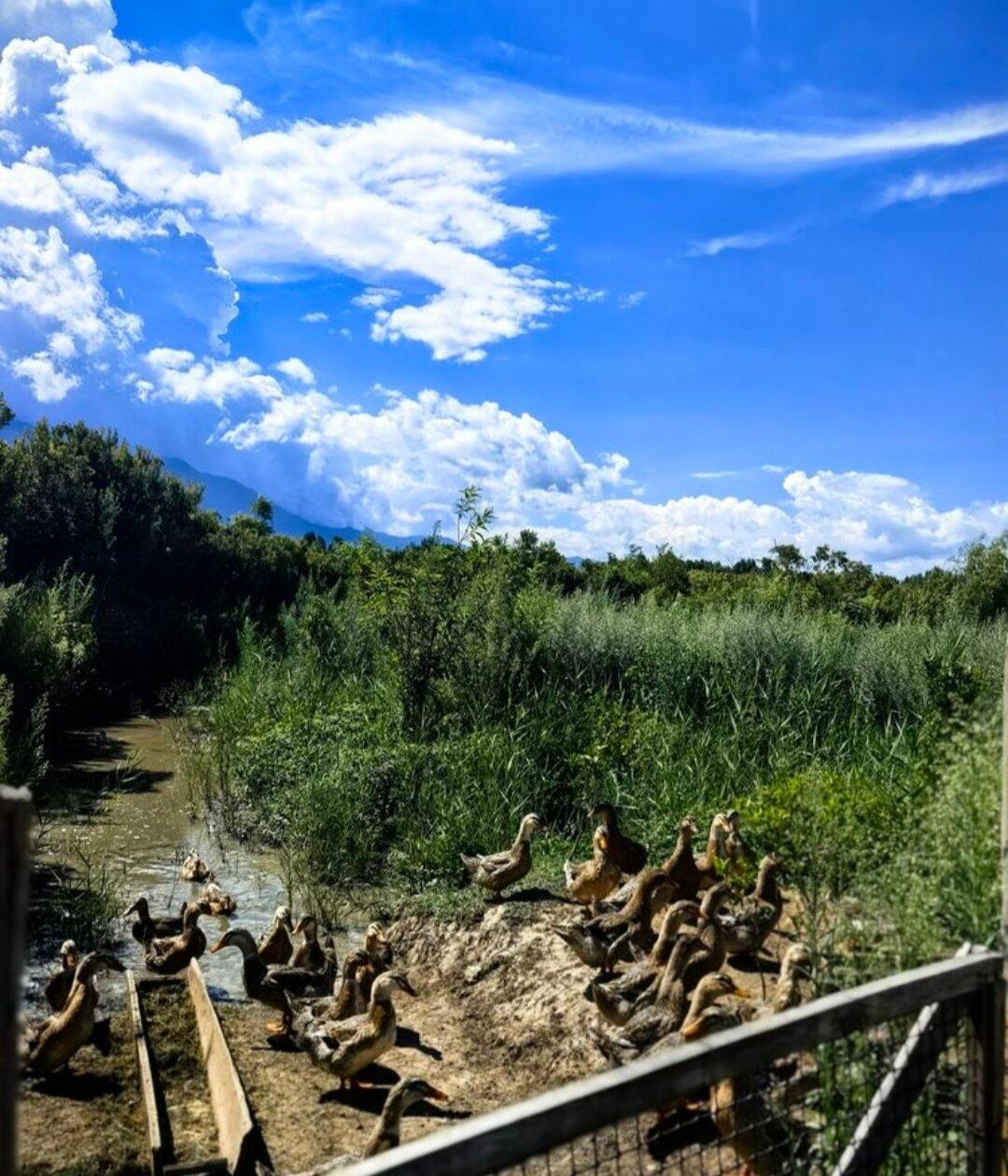 旅人が投稿した体験写真