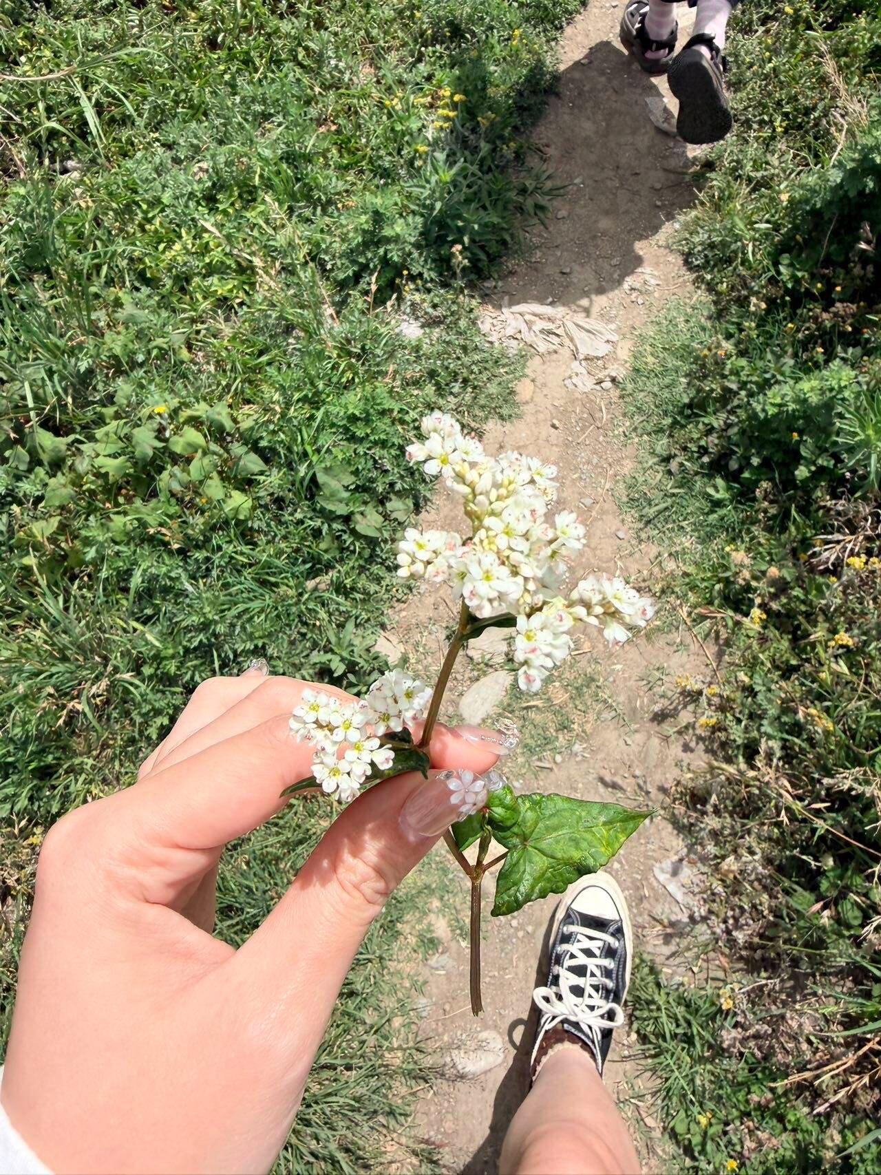 旅行者上传的活动照片