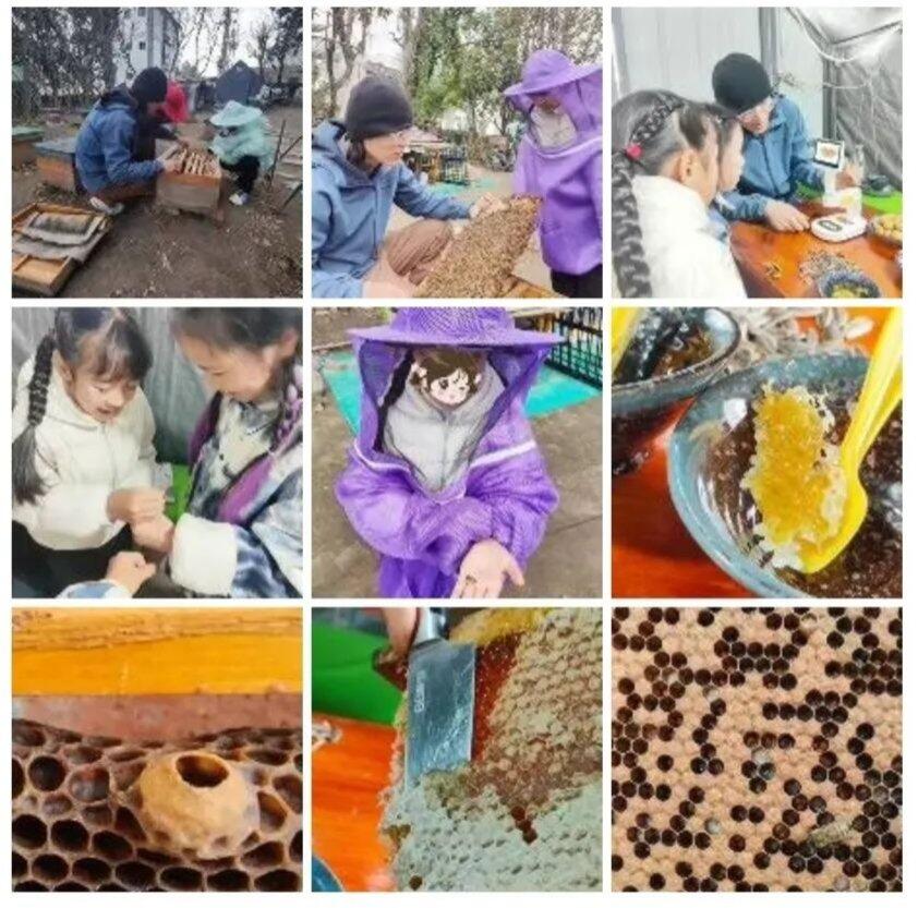 여행자가 올린 체험 사진