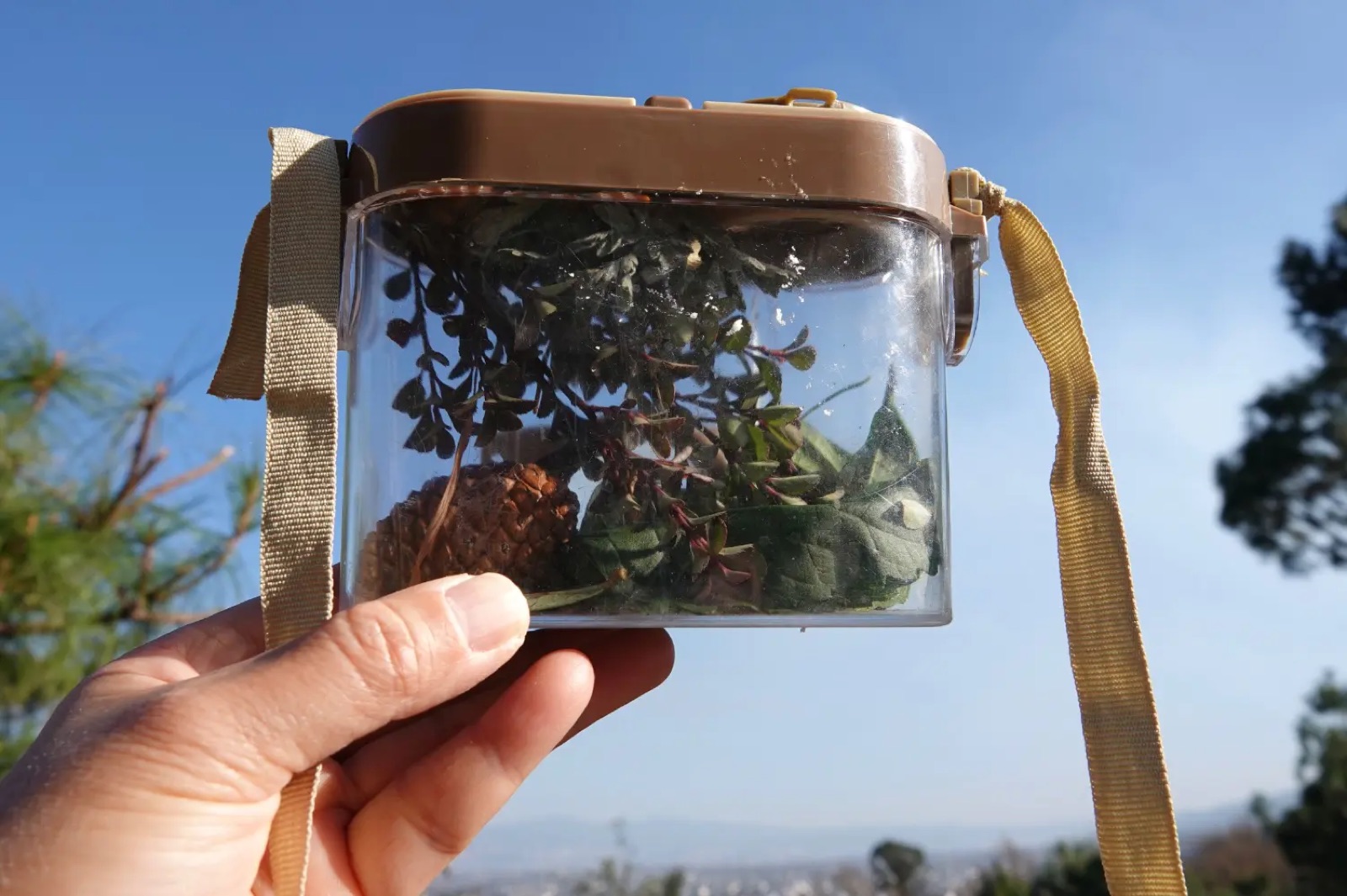 旅行者上传的活动照片