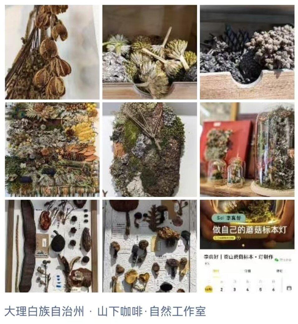 旅行者上传的活动照片