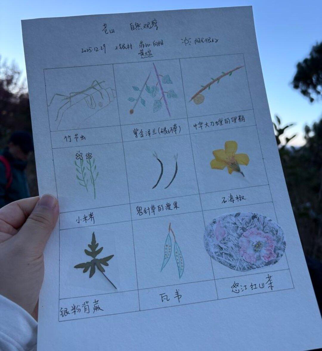 旅行者上传的活动照片