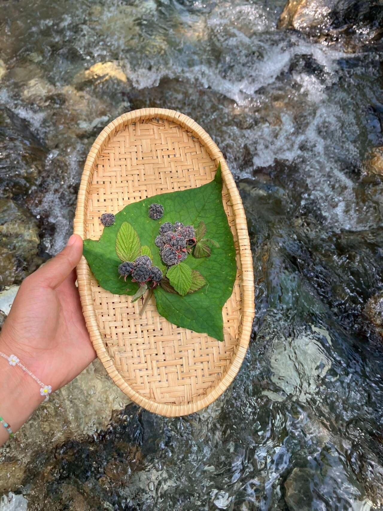 旅行者上传的活动照片