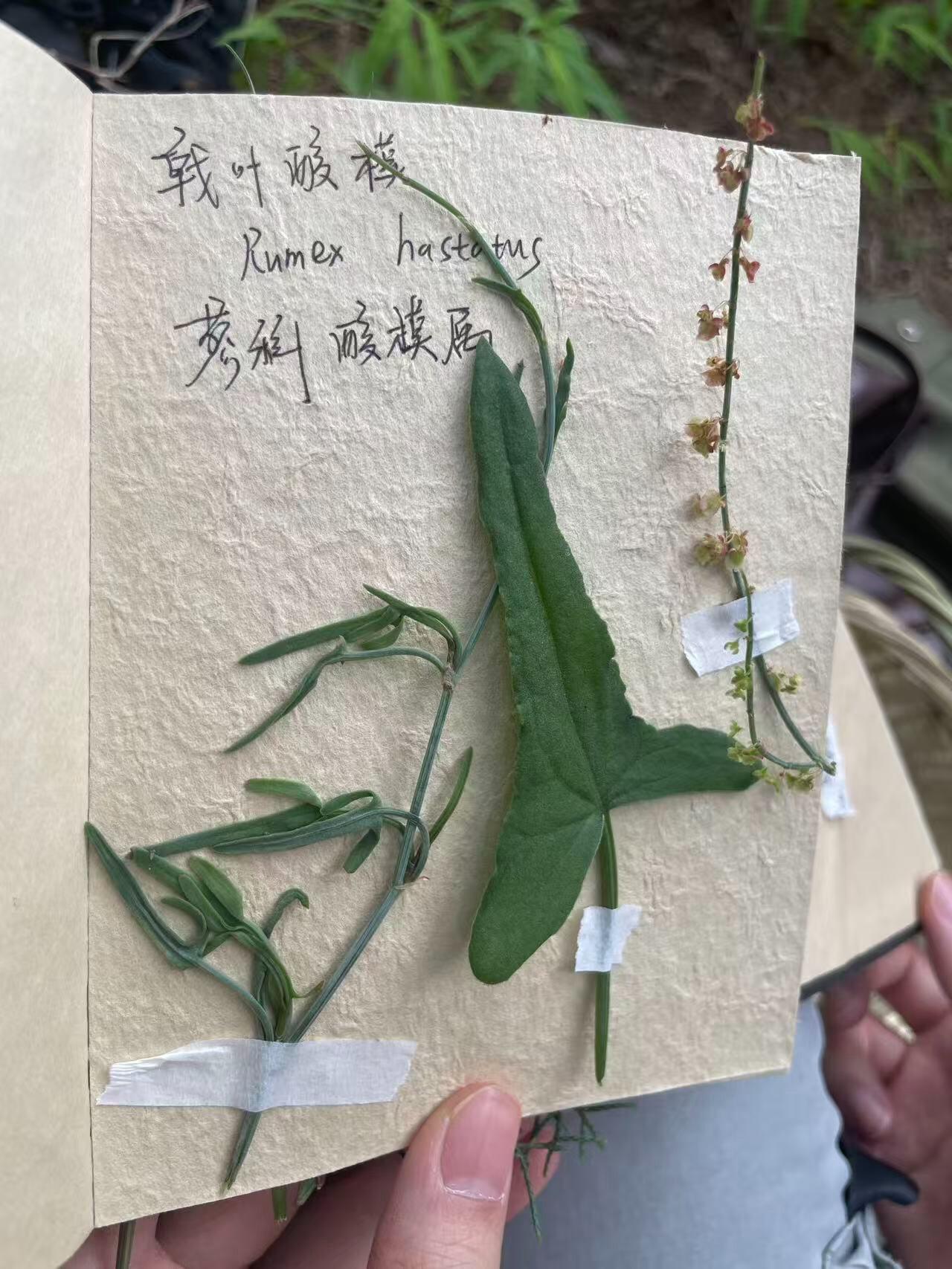 旅行者上传的活动照片