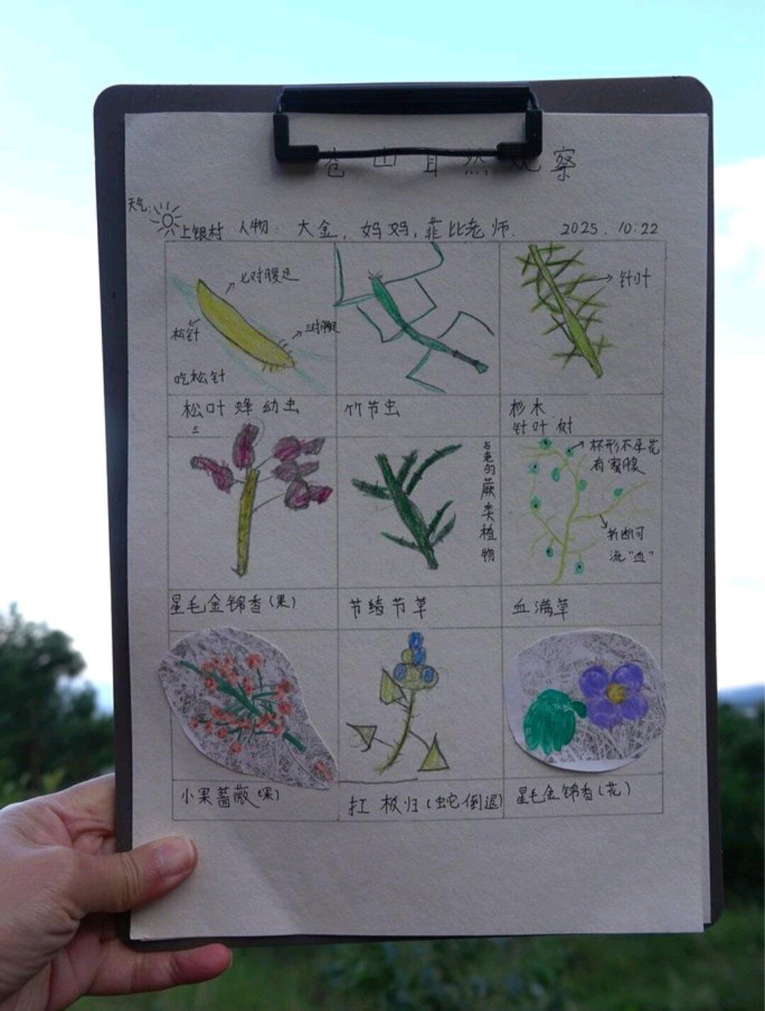 旅行者上传的活动照片