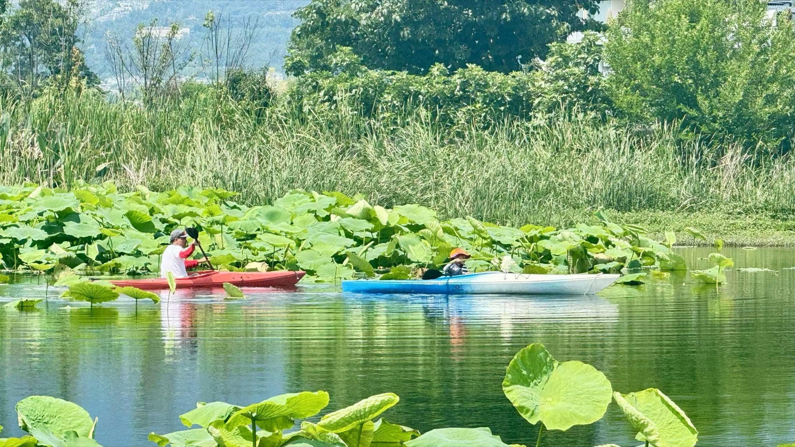 旅行者上传的活动照片