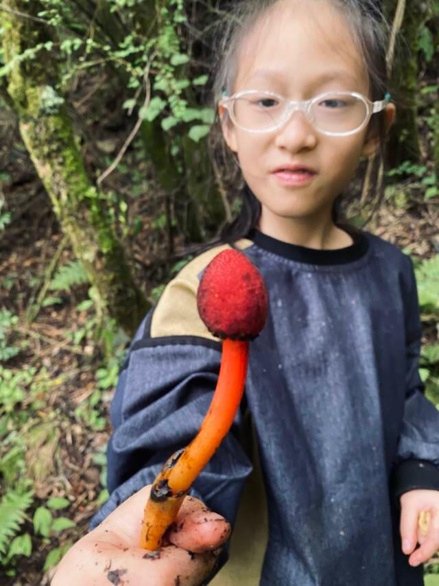 旅行者上傳的活動照片