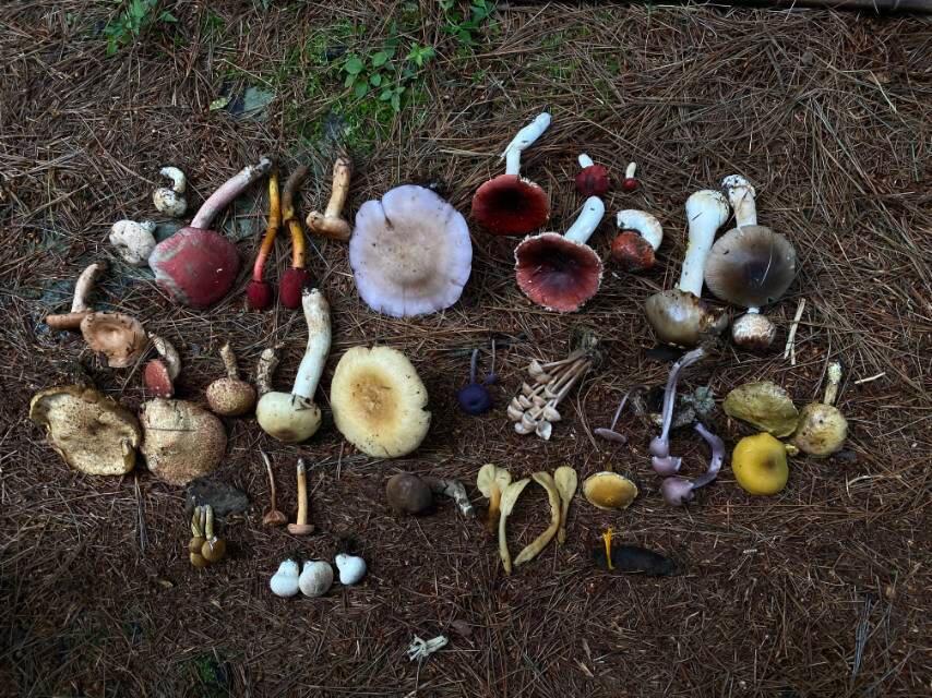 旅行者上傳的活動照片