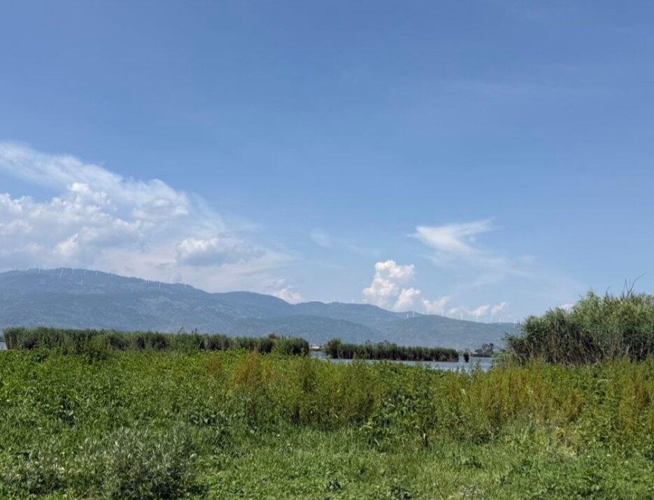 旅人が投稿した体験写真