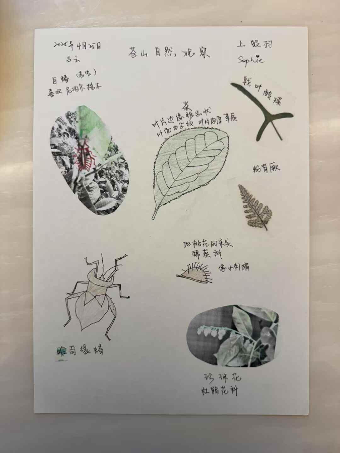 旅行者上传的活动照片