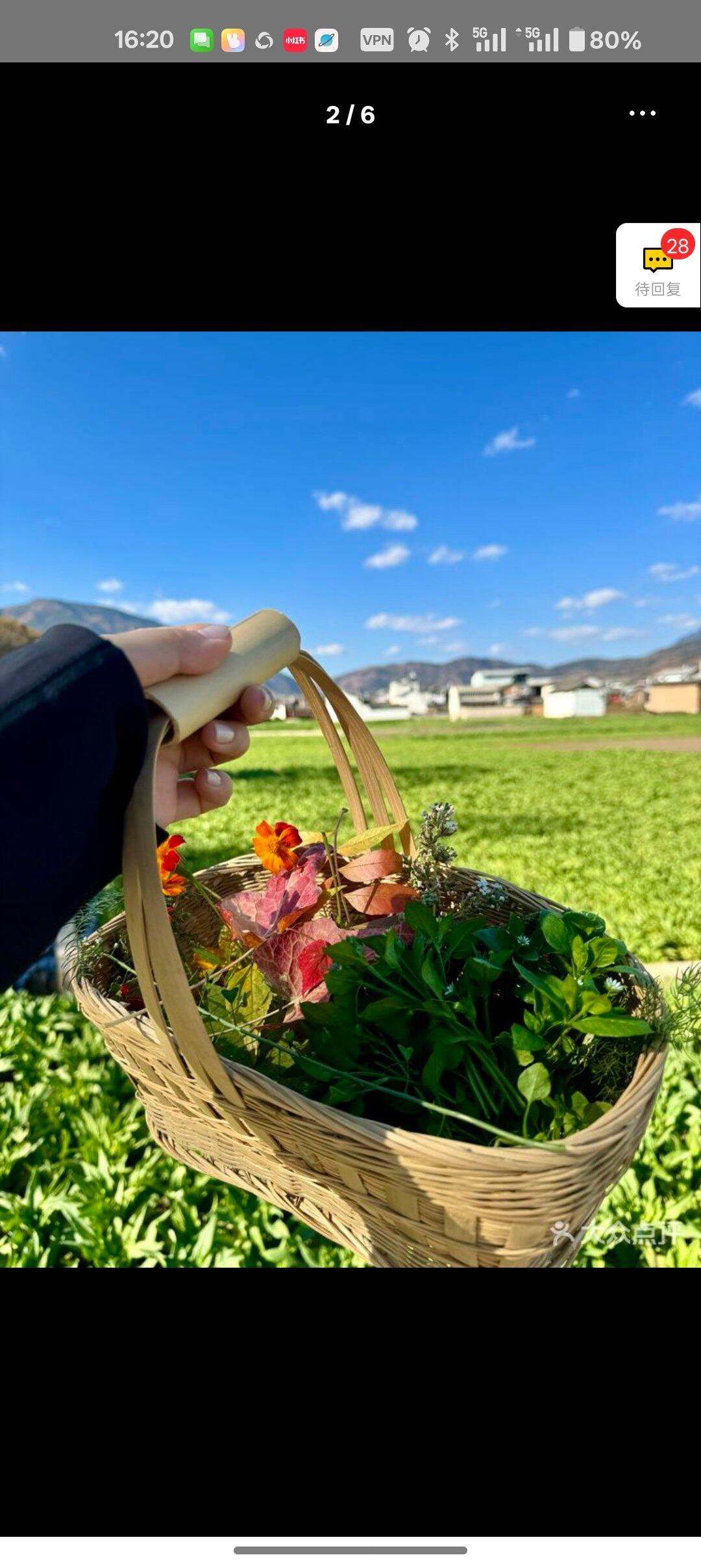 旅行者上传的活动照片