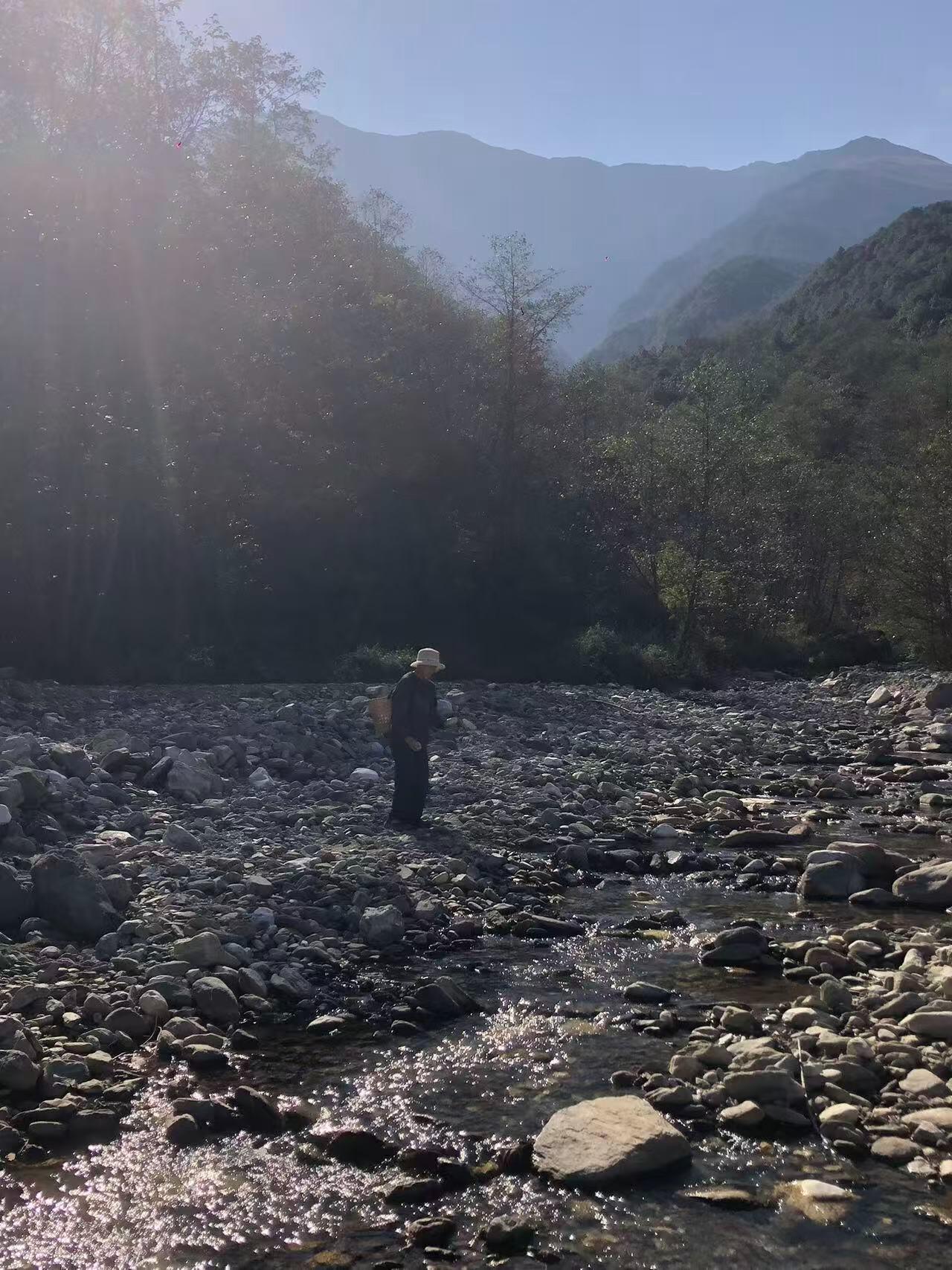 旅行者上传的活动照片