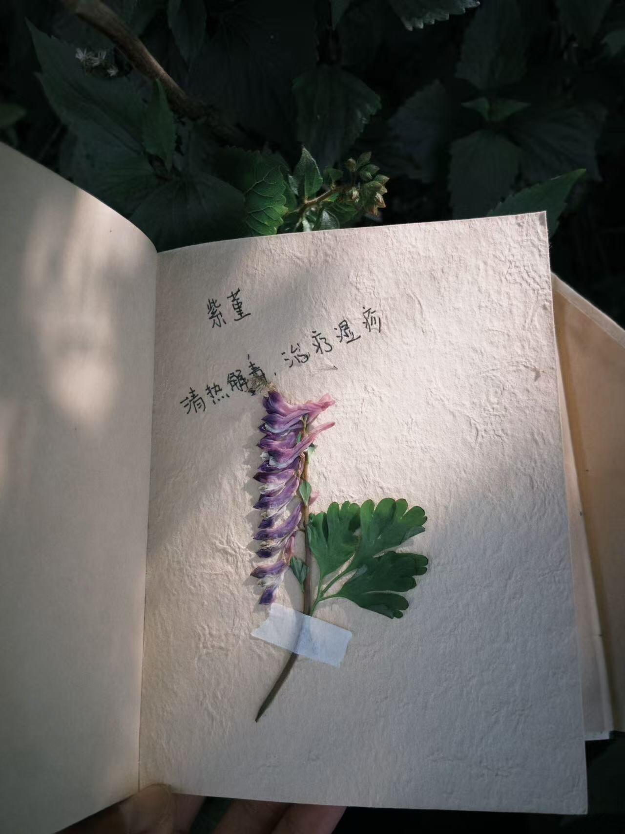 旅行者上传的活动照片