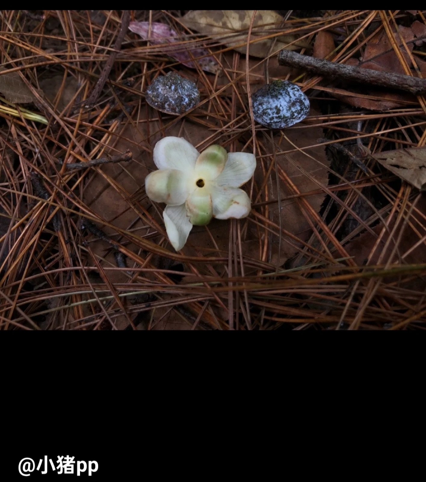 旅行者上传的活动照片