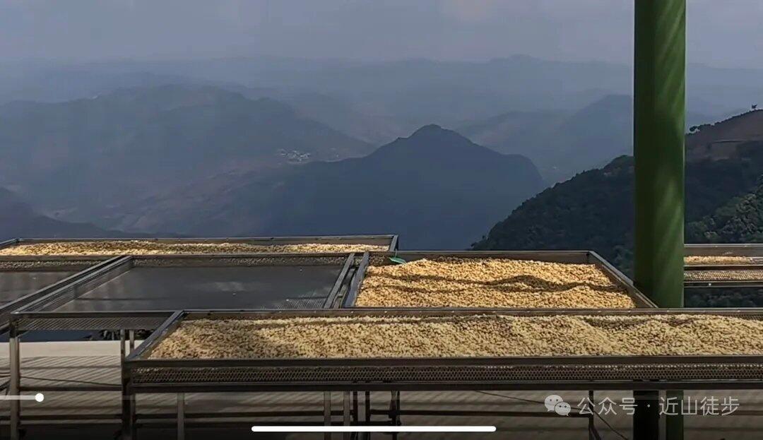 旅行者上传的活动照片