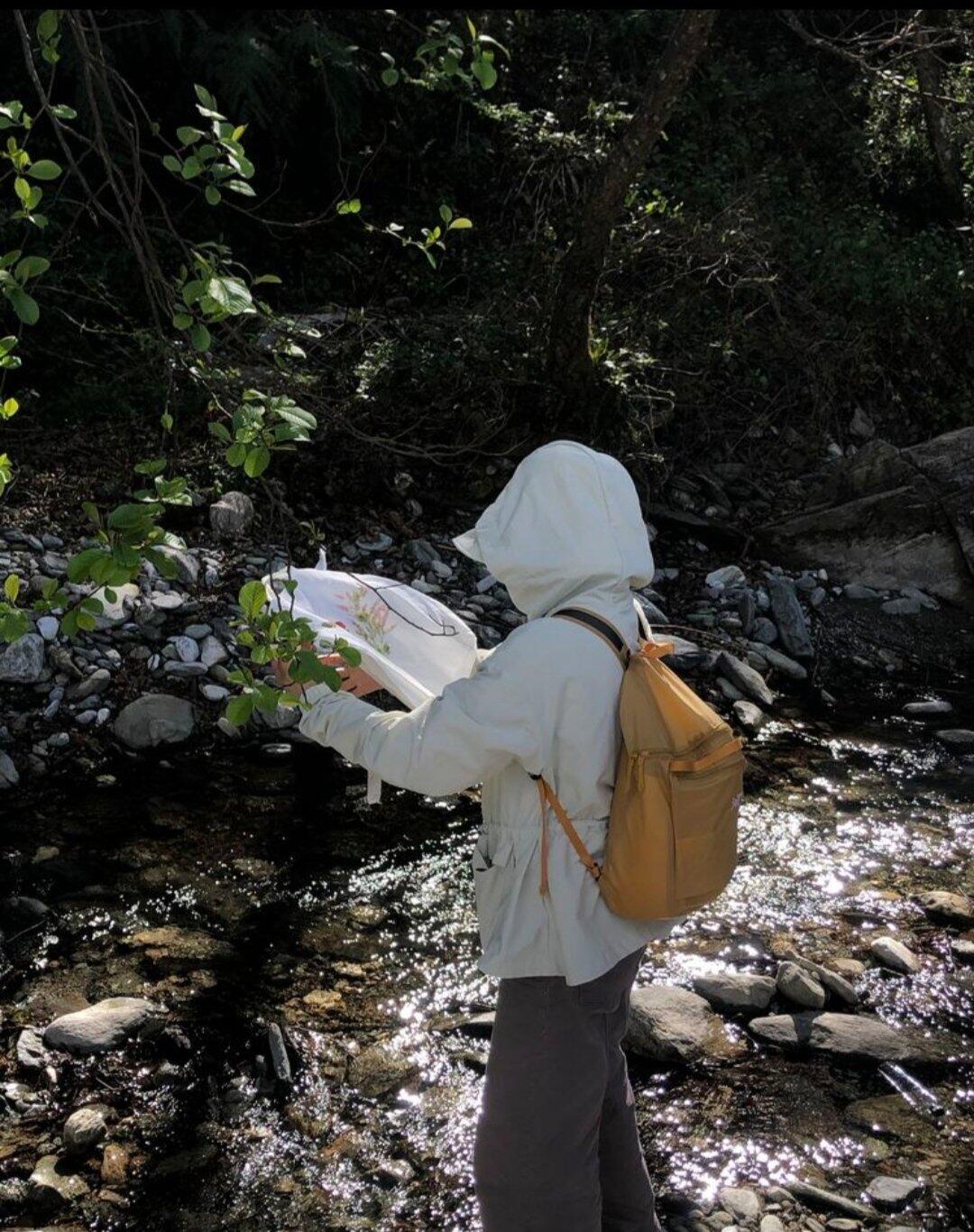 旅行者上传的活动照片