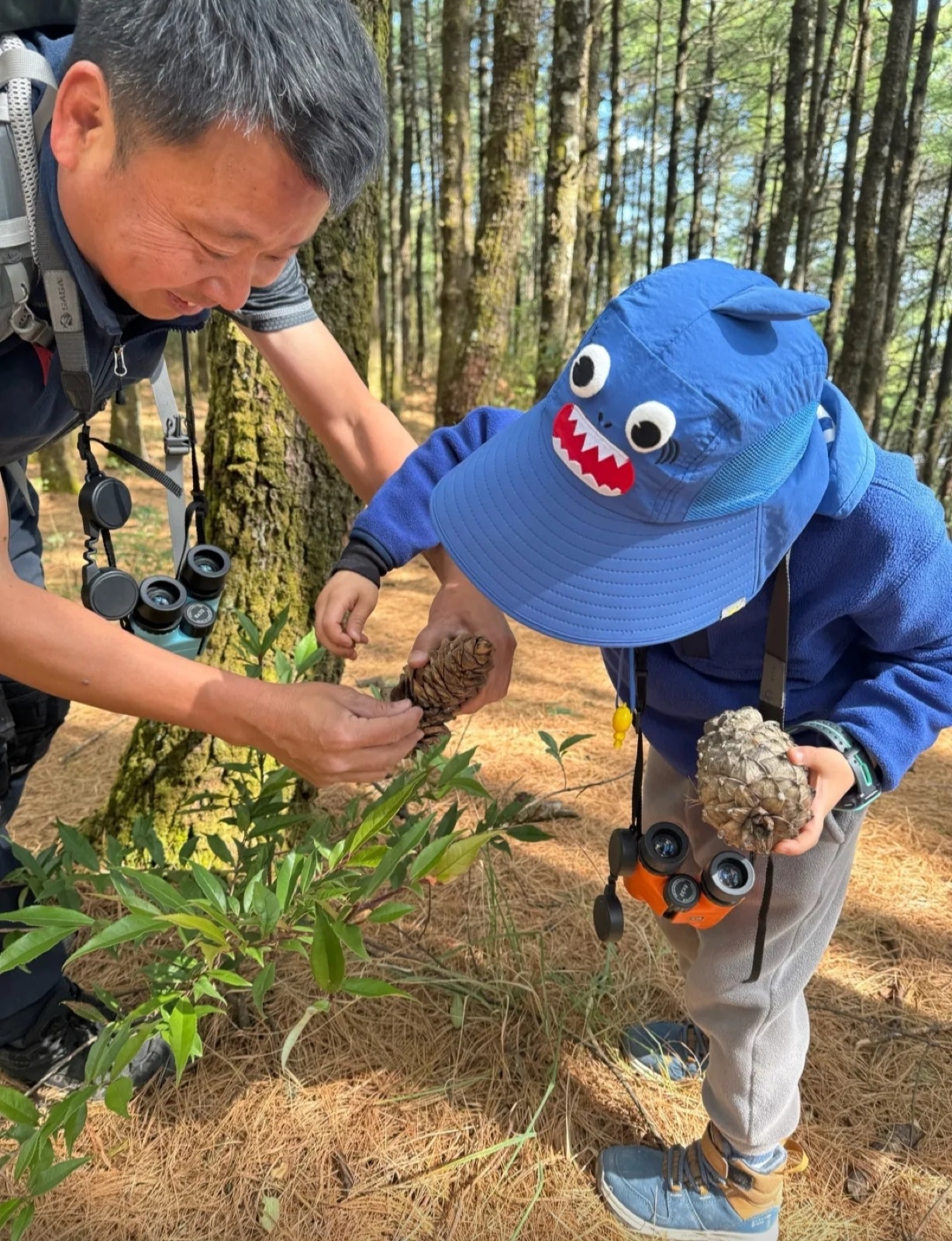 旅行者上传的活动照片